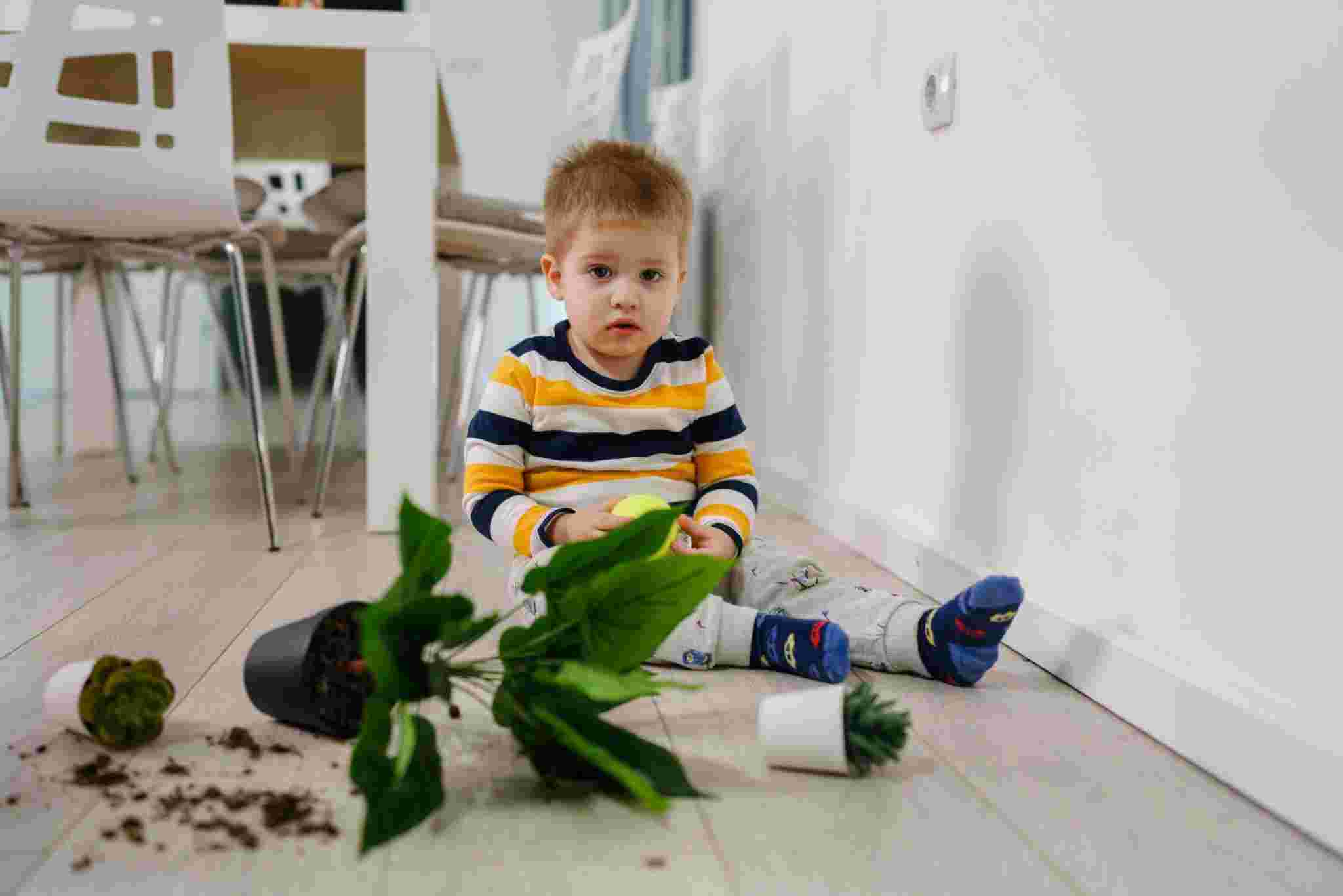 What does it mean when a child destroys things? 